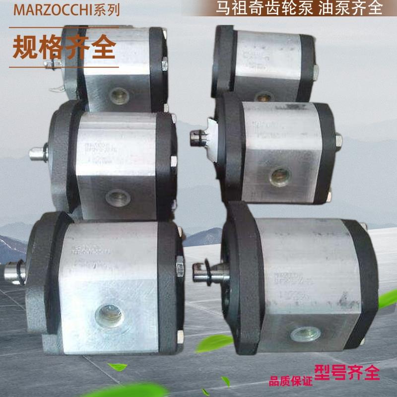 GHP1-D-4 GHP1-D-5意大利马祖奇高压泵 意大利MARZOCCHI高压泵