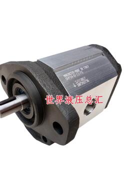 马祖奇齿轮泵GHP1A-D-2/3/4/5/6/7/9/11/13/-FG意大利MARZOCCHI