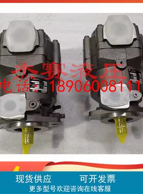 现货美国派克PARKER派克柱塞泵PAVC10038R422，PAVC100R4222油泵