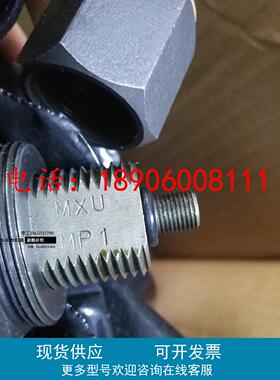 50L*M50x1,5/VG5 NBR20/P460皮囊配蓄能器SB330-50A1/112A9-330A