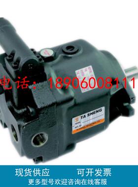 台湾TASHENG大生柱塞泵AR16-FR01C-20 P16-A1-F-R-01 P22-A3-F-R
