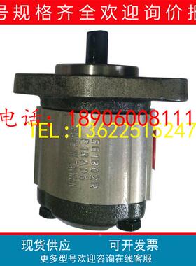 1KH1D0SR 台湾1KH1D02R钰盟1KH1D03R高压1KH1D04R齿轮泵1KH1D05R