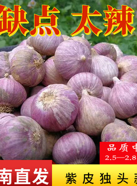 干蒜头新鲜独头蒜云南直发包邮