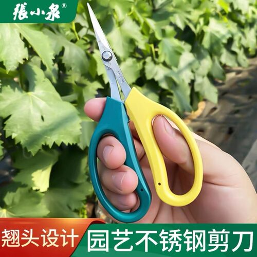 张小泉家用翘头葡萄修枝剪