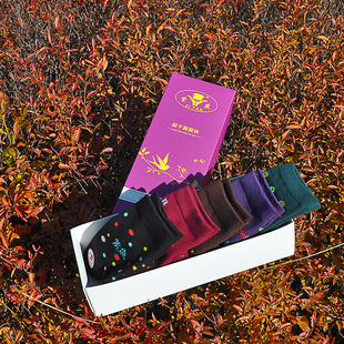 紫燕防裂袜子女足跟型纯棉足裂袜防干脚裂袜松口保湿 后跟袜五双盒