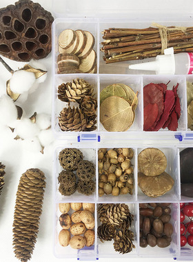 五眼果小橡果inde平安豆原籽枯树叶树枝莲蓬手工作品diy干花材料