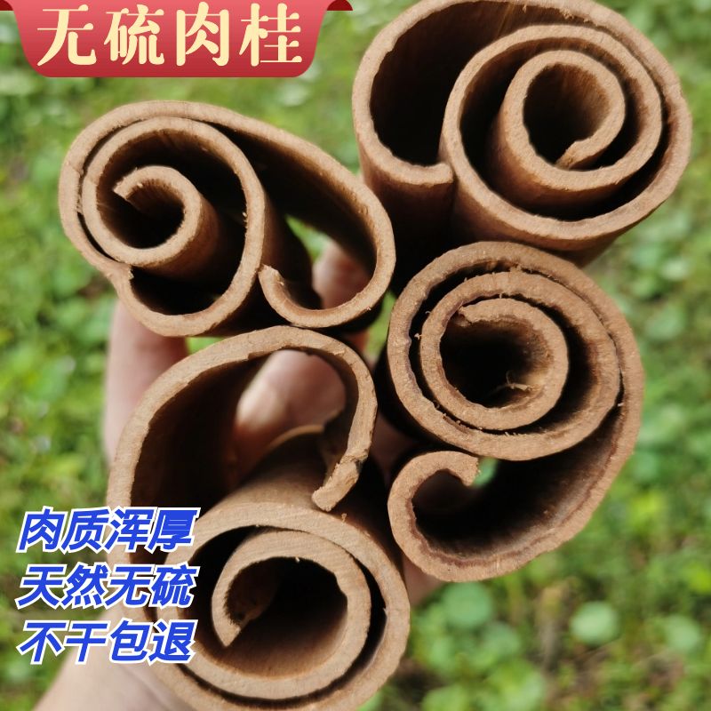 广西纯天然无硫老树肉桂半斤250g