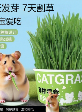仓鼠食用草籽排毛化毛草子