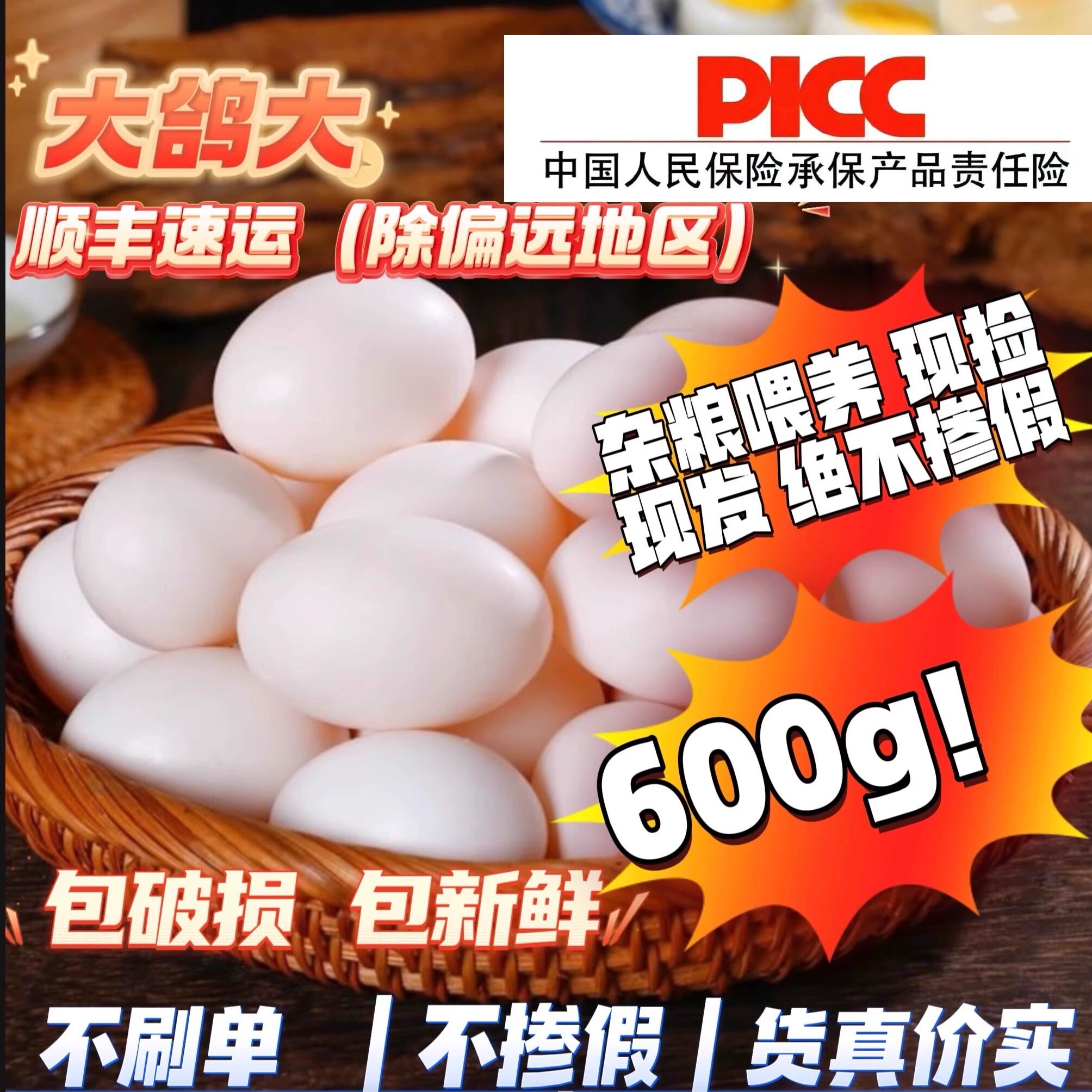 新鲜鸽子蛋30枚600g以上纯粮散养白鸽蛋宝宝孕妇老人辅食煲汤