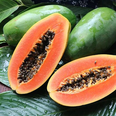 【京东快递】树上自然成熟 海南三亚 冰糖心牛奶木瓜9斤