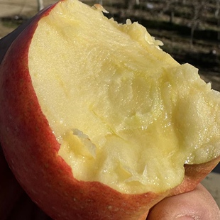 又脆又甜发大果 很好吃 冰箱冷藏保存 爱妃苹果 苹果