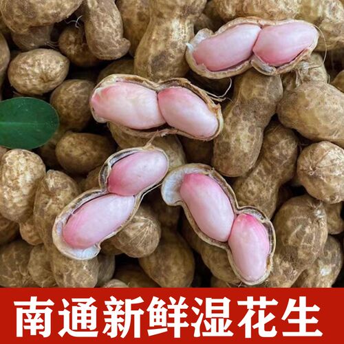 江苏如皋农家新鲜湿花生带壳现挖花生可水煮生吃纯手工筛选