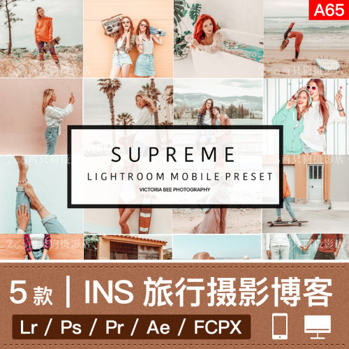 lightroom手机版LR预设pr视频ins旅行摄影博客人像调色ps滤镜app