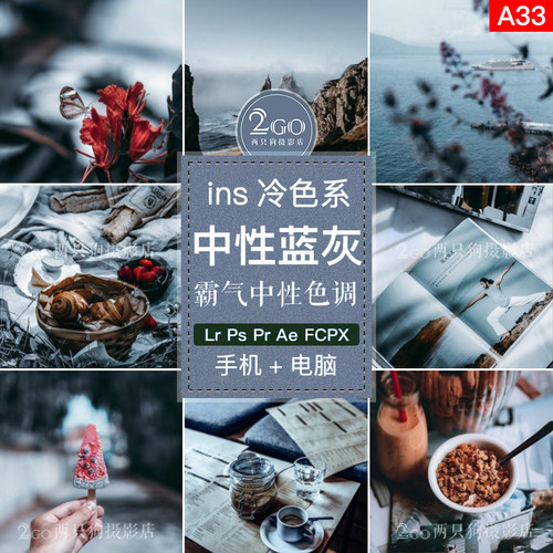 lightroom手机APP滤镜LR预设PS文艺ins冷色调FCPX静物PR调色LUT