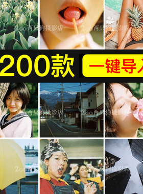 lightroom电脑手机版lr预设青橙调色人像滤镜apps日系胶片复古ins