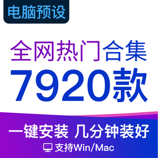 电脑版LR预设日系清新文艺人像森系校园调色PS滤镜lightroom预设