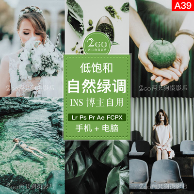 lightroom手机版LR预设ins旅拍PS滤镜APP风景PR /FCPX人像调色LUT