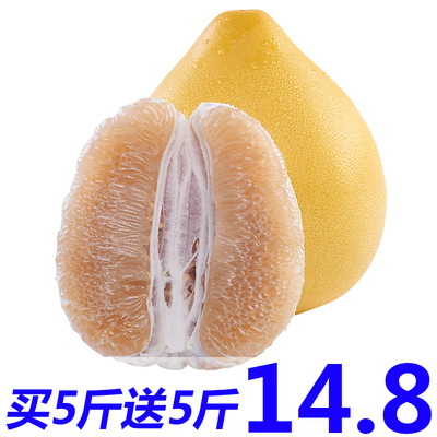 现摘现发四川白心柚子 新鲜10斤白肉蜜柚当季柚子应季水果包邮