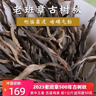 玉灯老人普洱茶生茶勐海布朗山老班章500年挑采古树2023秋50g散茶