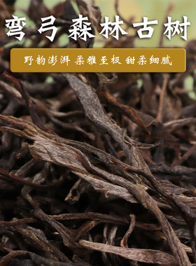散易武云南普洱茶生茶春茶