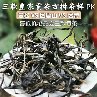 玉灯老人普洱茶生茶3款贡茶pk困鹿山曼松迷帝古树2025年春尝鲜66g