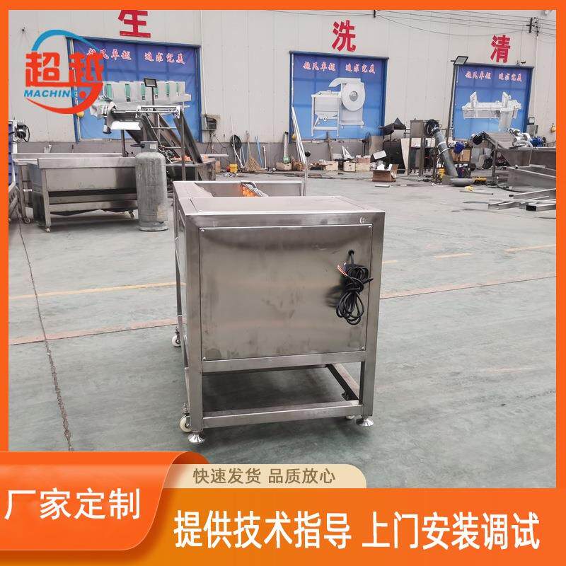 毛刷高压清洗清设备清清土QAF豆洗去皮机 毛辊洗去皮机 果蔬类洗