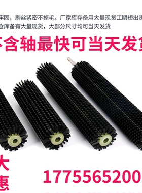 工业毛刷辊筛沙机防堵输送带光伏板果蔬清洗机扫灰除残渣圆柱辊刷