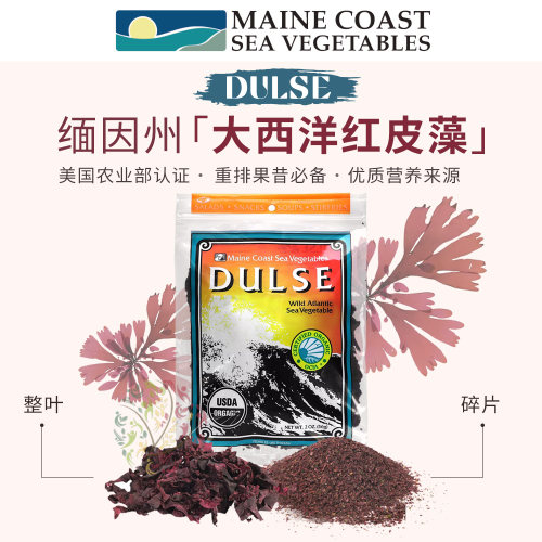 大西洋红皮藻DulseMaine安东尼