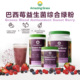 AG美国Amazing Grass爱美草巴西莓益生菌综合绿粉青汁营养高纤维