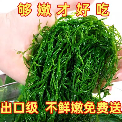 鞭炮笋火锅食材马尾藻