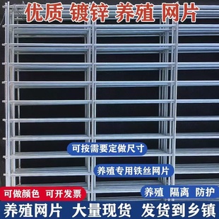 长方孔镀锌铁丝网围栏防护网片加粗小孔鸽舍鸟狗笼养殖隔离防护网
