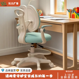 儿童学习椅可升降调节矫正坐姿靠背凳子小学生书桌椅子家用写字椅