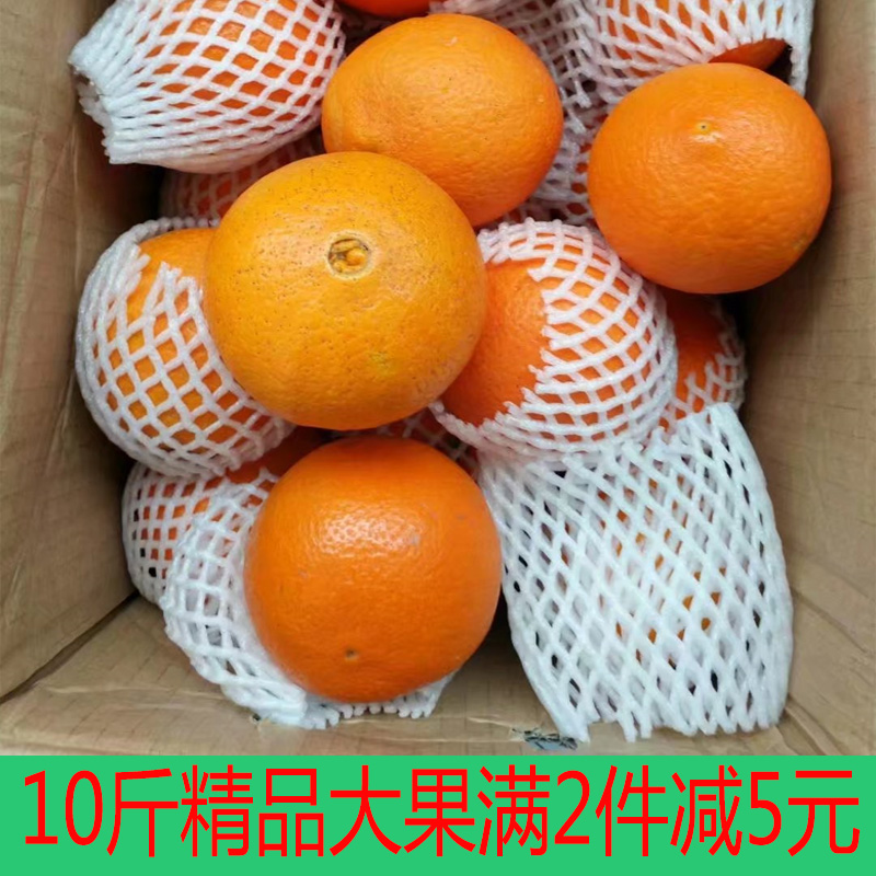 ½ïÌØ²ú´ó¹ûÏÖÕª