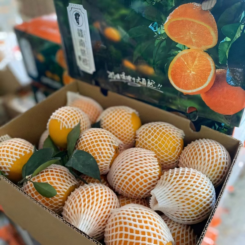 彩箱礼盒装正宗赣南脐橙