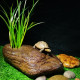饰摆件 沉底水族箱盆栽造景装 真石头带绿植晒台爬台 乌龟晒背石