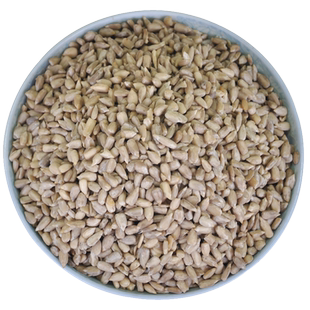 熟瓜子仁散装500g大颗粒现炒葵花籽仁烘焙生熟新货油葵原味批发