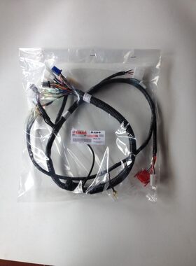 适用雅马哈天剑YBR125天琪天戟JYM125-2-3全车线路电缆线主线束