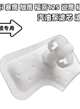 适用 雅马哈巧格i125赛鹰福喜125旭鹰福颖 巡鹰125 汽油滤芯 滤网