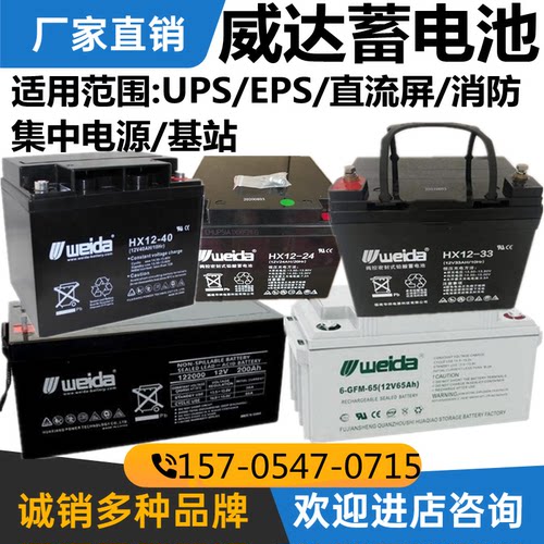 weida威达蓄电池GFM/HX12V17AH
