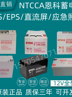 NTCCA恩科蓄电池NPG12v17AH20AH24AH38AH40AH65AH100AH机房电源