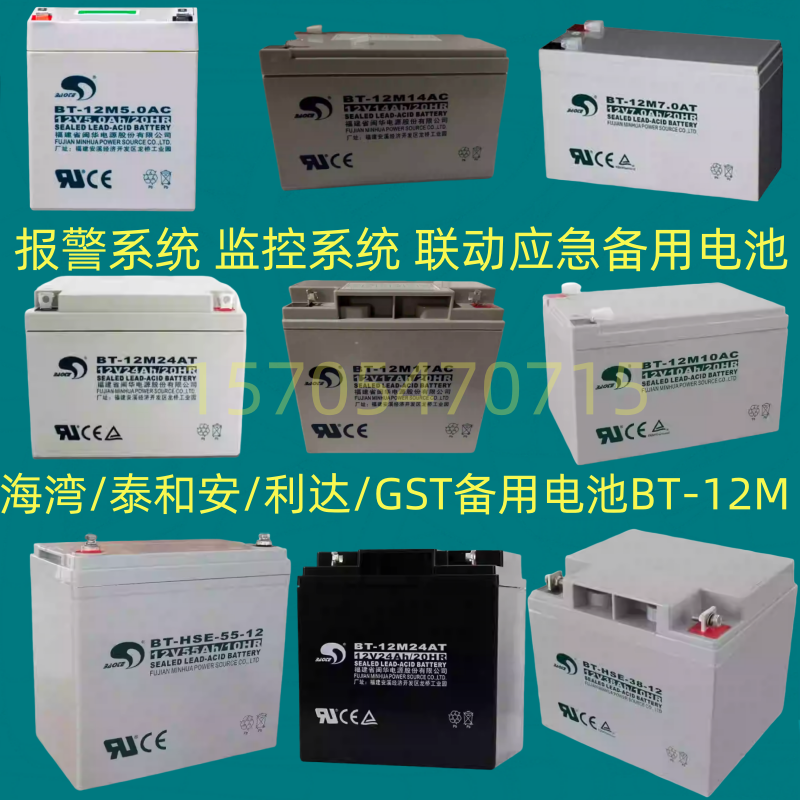 海湾GST松江利达天成泰和安消防主机EPS应急报警备用蓄电池BT-12M