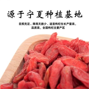 【农户种植】宁夏大粒枸杞子250g宁夏枸杞干泡茶泡水小包装新货