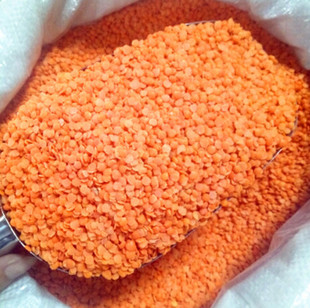 INDIAN FOOD扁豆RED LENTILSMASOOR DAL马粟豆红扁豆安达斯土耳其