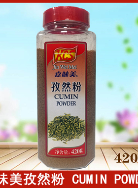 嘉味美孜然粉420g炒菜烧烤牛羊排油炸铁板西餐调味料Cumin Ground