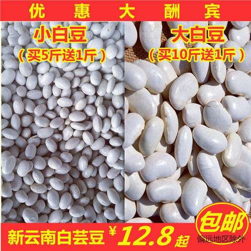 云南大白芸豆小白豆500g包邮 الفاصوليا البيضاء