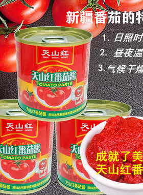 番茄酱家用198克罐装 意面披萨炒菜 tomato paste الطماطم