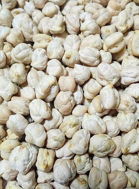 三角豆大颗粒印度食品 KABULI CHANNA chick peas 鹰嘴豆500g