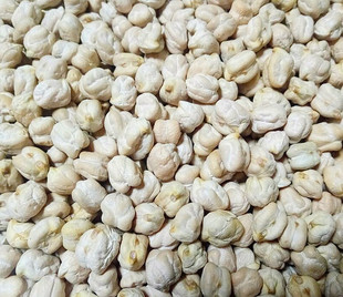 三角豆大颗粒印度食品 KABULI CHANNA chick peas 鹰嘴豆500g