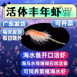 活体丰年虾海水繁殖糠虾卤虫卵珊瑚海马水母开口桡足水蚤鱼虫饲料
