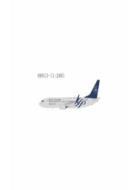 Ngmodels 1:200# 飞机模型 达美航空Beoing  B737-800 N381DN/376
